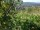 Webcam in Feuerbach, 14.7 km entfernt