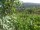 Webcam in Feuerbach, 16 mi away