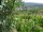 Webcam in Feuerbach, 8.5 mi away