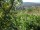 Webcam in Feuerbach, 4.8 mi away