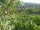 Webcam in Feuerbach, 8.5 mi away