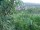 Webcam in Feuerbach, 22 km