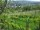 Webcam in Feuerbach, 1.8 mi away