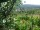 Webcam in Feuerbach, 5.6 mi away