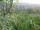 Webcam in Feuerbach, 15.7 km