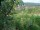Webcam in Feuerbach, 4.4 mi away