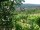 Webcam in Feuerbach, 22 km
