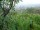 Webcam in Feuerbach, 3.7 mi away