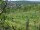 Webcam in Feuerbach, 4.8 mi away