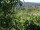 Webcam in Feuerbach, 4.3 mi away