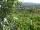 Webcam in Feuerbach, 4.2 mi away