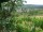 Webcam in Feuerbach, 7.5 mi away
