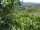 Webcam in Feuerbach, 26.6 km
