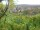 Webcam in Feuerbach, 8.5 mi away