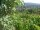 Webcam in Feuerbach, 2 mi away