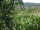 Webcam in Feuerbach, 4.4 mi away