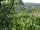 Webcam in Feuerbach, 3.7 mi away