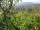 Webcam in Feuerbach, 14.5 km