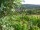 Webcam in Feuerbach, 4.4 mi away