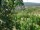 Webcam in Feuerbach, 5 km entfernt
