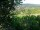 Webcam in Feuerbach, 7.5 mi away