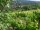 Webcam in Feuerbach, 3.9 mi away