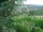 Webcam in Feuerbach, 11.4 km