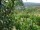 Webcam in Feuerbach, 17.3 km entfernt