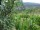 Webcam in Feuerbach, 7.1 mi away