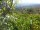 Webcam in Feuerbach, 3.7 mi away