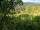 Webcam in Feuerbach, 4.8 mi away