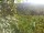Webcam in Feuerbach, 5.1 km