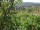 Webcam in Feuerbach, 8.5 mi away