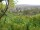 Webcam in Feuerbach, 1.9 mi away