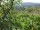 Webcam in Feuerbach, 4.4 mi away