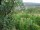 Webcam in Feuerbach, 5 km entfernt