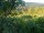 Webcam in Feuerbach, 22 km