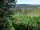 Webcam in Feuerbach, 8.5 mi away
