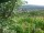 Webcam in Feuerbach, 7.1 mi away