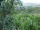 Webcam in Feuerbach, 4.4 mi away
