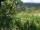 Webcam in Feuerbach, 8.9 km