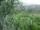 Webcam in Feuerbach, 3.7 mi away