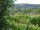 Webcam in Feuerbach, 2.3 mi away