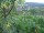 Webcam in Feuerbach, 9.4 km