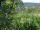 Webcam in Feuerbach, 5.6 mi away