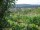 Webcam in Feuerbach, 3 mi away
