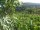 Webcam in Feuerbach, 2.8 km