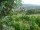 Webcam in Feuerbach, 4.3 mi away