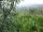 Webcam in Feuerbach, 4 mi away