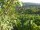 Webcam in Feuerbach, 5 km entfernt